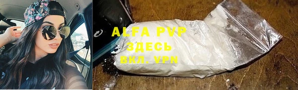 твердый Ладушкин
