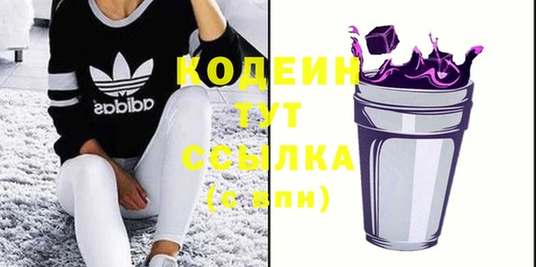 дмт Лабытнанги