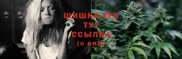 дмт Лабытнанги