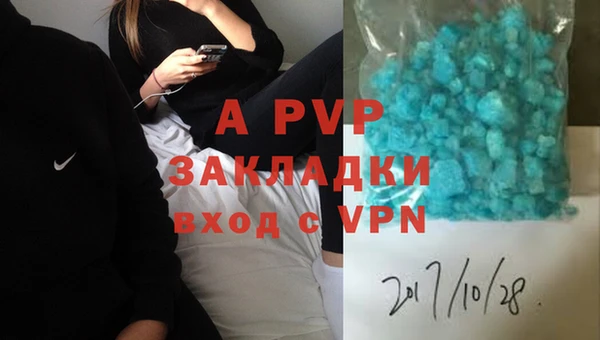 твердый Ладушкин