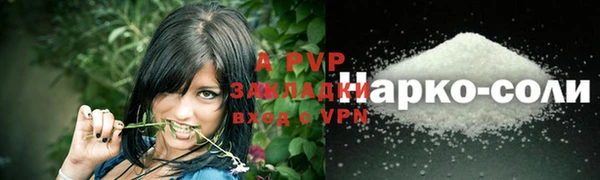 твердый Ладушкин