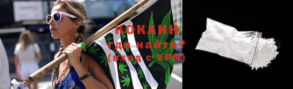 твердый Ладушкин