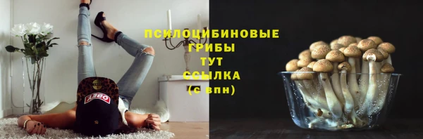 дмт Лабытнанги