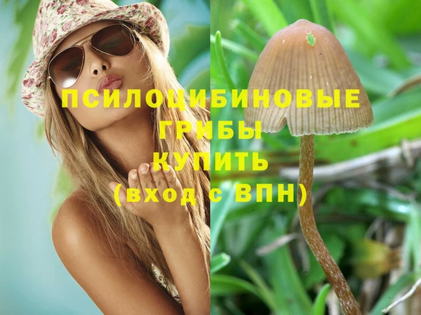твердый Ладушкин