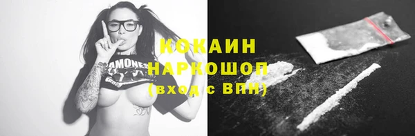 дмт Лабытнанги