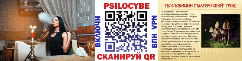 Купить  Кандалакша  Галлюциногенные грибы MAGIC MUSHROOMS 